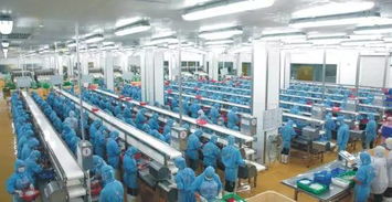 湛江國(guó)聯(lián) 深耕電商領(lǐng)域產(chǎn)業(yè)延伸成效初顯