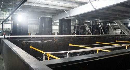 全球人均每年消費41斤魚類 漁業如何可持續發展 看海璟水產如何做