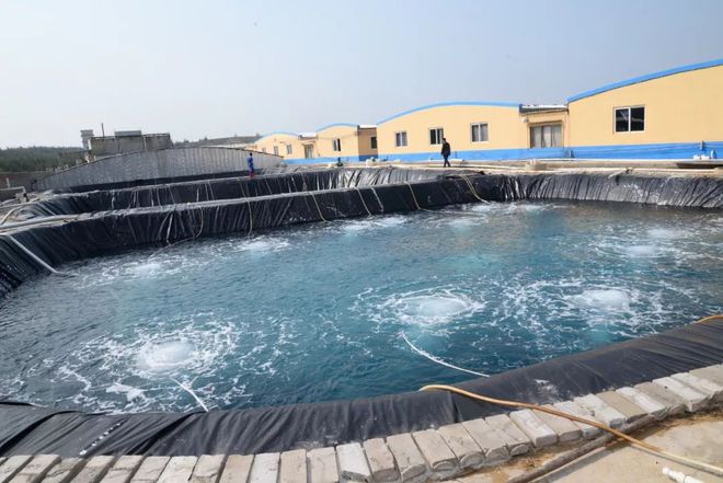 水產界女CEO花25年打造飼料、蝦苗、動保小產業鏈 !如今她聘請泰國專家、聯手正大,發力蝦苗板塊 | 尋找中國好蝦苗