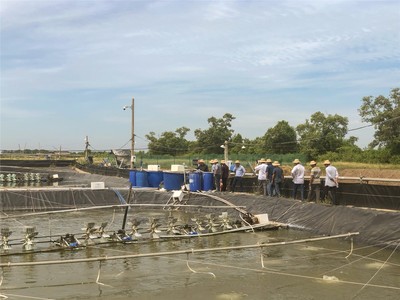 越南升龍:海大集團國際化戰(zhàn)略的先行軍