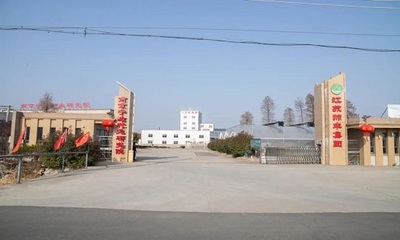 突出示范帶動,高質量引領農業(yè)農村重大項目加速推進