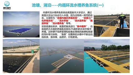 工廠化循環(huán)水養(yǎng)魚-智慧農研(推薦商家)-工廠化養(yǎng)魚