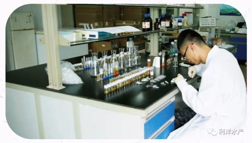 系統(tǒng)檢測 精準服務 讓水產養(yǎng)殖更可控