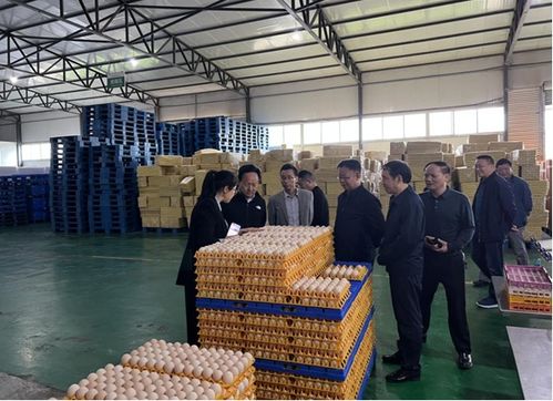 周華榮赴夾江縣開展畜禽水產養(yǎng)殖污染防治條例立法調研