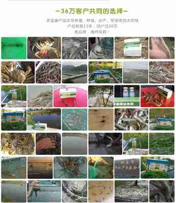 池塘養(yǎng)蝦的水產益生菌哪里能買到多少錢