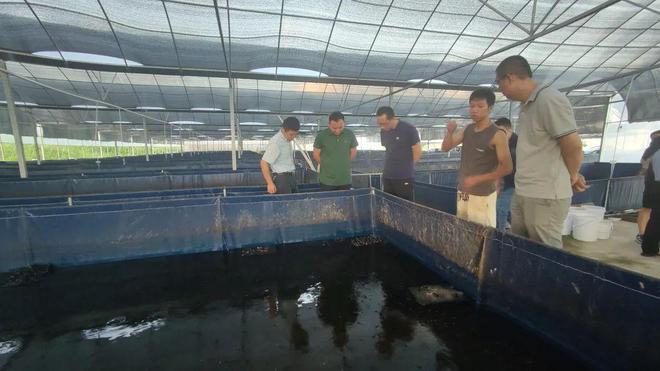 技術(shù)大拿間的&ldquo;夢(mèng)幻聯(lián)動(dòng)&rdquo;!海之味與集美大學(xué)水產(chǎn)學(xué)院達(dá)成戰(zhàn)略合作,開(kāi)啟牛蛙技術(shù)研發(fā)新篇章