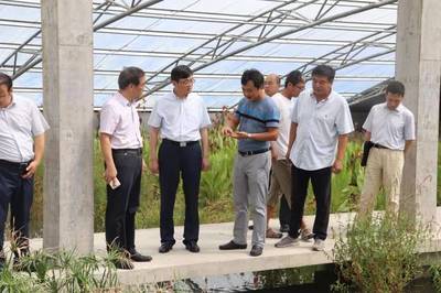 趙衛(wèi)星書(shū)記調(diào)研農(nóng)業(yè)產(chǎn)業(yè)發(fā)展:要全力打造成為鄉(xiāng)村振興戰(zhàn)略先行區(qū)