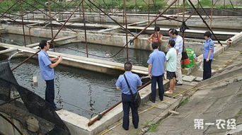 循環(huán)水處理有水可養(yǎng)魚蝦 水產(chǎn)養(yǎng)殖技術