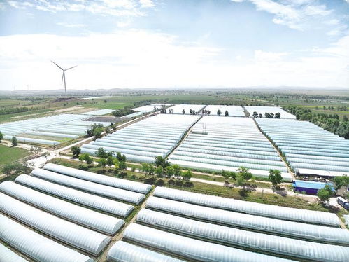 張家口沽源 科技助力打造精品農(nóng)業(yè)示范區(qū)鳳凰網(wǎng)河北 鳳凰網(wǎng)