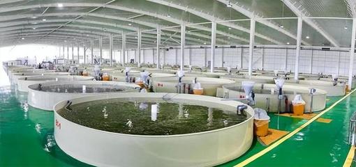 預(yù)測:我國特醫(yī)食品市場需求巨大;安井食品:發(fā)力團(tuán)餐供應(yīng)鏈