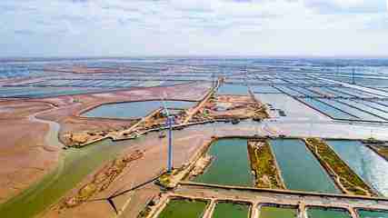 科技人才為藍(lán)色產(chǎn)業(yè)提底氣