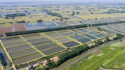 澳洲淡水龍蝦種苗生產(chǎn)孵化企業(yè)湖北首達(dá)農(nóng)業(yè)實業(yè)獲A輪融資6800萬元