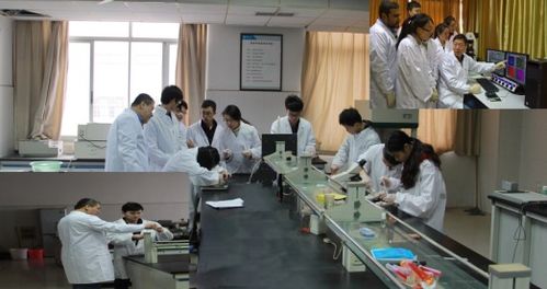 生命科學(xué)學(xué)院