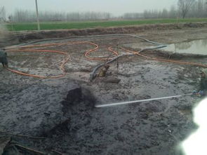 水產(chǎn)養(yǎng)殖池塘底質(zhì)改良適用技術(shù)