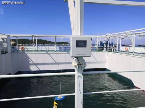 優(yōu)魚技術(shù)讓水產(chǎn)養(yǎng)殖實(shí)現(xiàn)數(shù)字化養(yǎng)殖