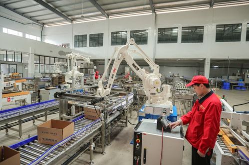 訂單足,市場(chǎng)旺 美寧食品罐頭智能化加工車(chē)間忙