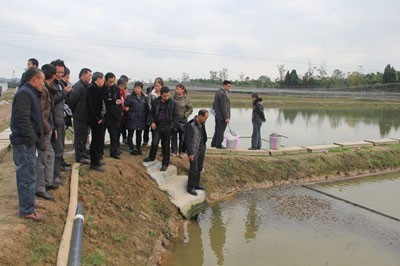 專家來(lái)武漢蝦龍水產(chǎn)養(yǎng)殖開發(fā)開展龍蝦養(yǎng)殖技術(shù)研發(fā)工作