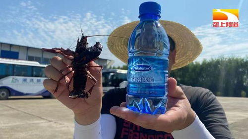 515 科技服務行動助力湖北水產(chǎn)養(yǎng)殖行業(yè)高質(zhì)量發(fā)展