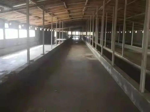 中共田黃鎮(zhèn)委員會(huì) 田黃鎮(zhèn)人民政府給您拜年啦