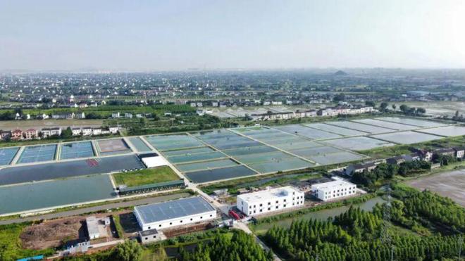 靖江基地一期工程基本完工，水產養殖科研迎來新突破